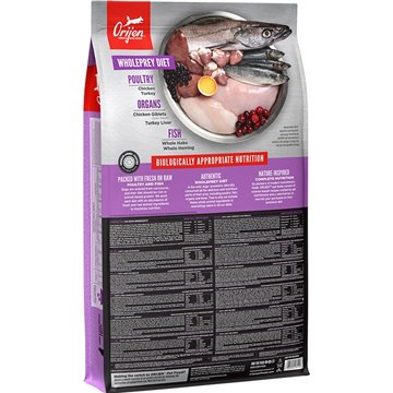 NATEC LAPTOP BACKPACK  CAMEL PRO 17.3