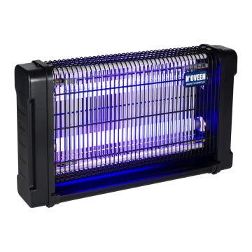 Ubiquiti AI Theta Audio